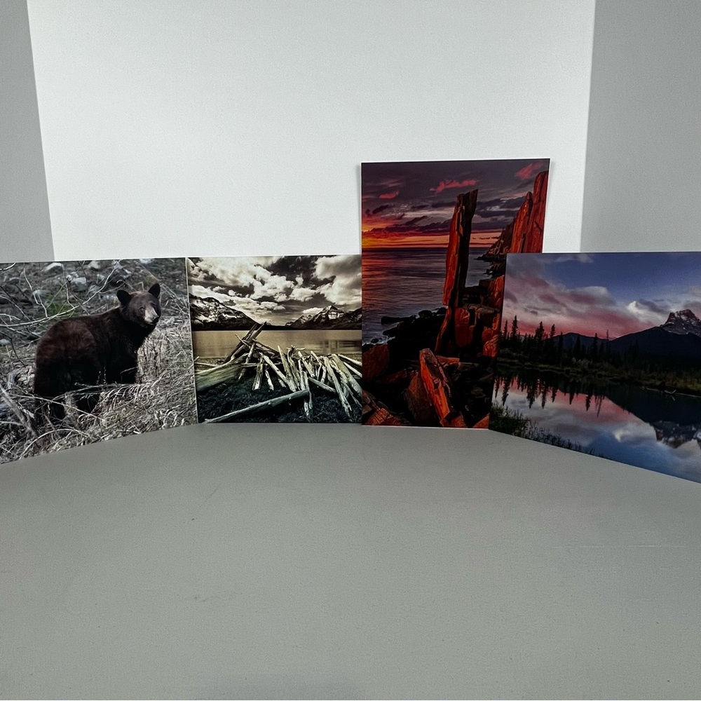 Kyla Black Set of 4 Photographs (8X10)